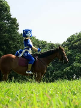 [Ayano Harumaki]&nbsp;&nbsp;Krystal from Star Fox_0577_Ayano_Twitter_ayano_harumaki_840158808009658368_20170310_221403_img1