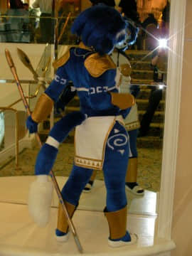 [Ayano Harumaki]&nbsp;&nbsp;Krystal from Star Fox_0557_Ayano_Twitter_ayano_harumaki_822025846311428097_20170119_212008_img4