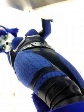 [Ayano Harumaki]&nbsp;&nbsp;Krystal from Star Fox_0523_Ayano_Twitter_ayano_harumaki_809346222322352128_20161215_213550_img1