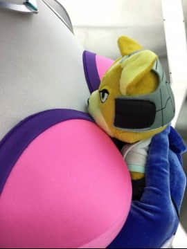 [Ayano Harumaki]&nbsp;&nbsp;Krystal from Star Fox_0435_Ayano_Twitter_ayano_harumaki_761874627492585472_20160806_204040_img1