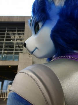 [Ayano Harumaki]&nbsp;&nbsp;Krystal from Star Fox_0407_Ayano_Twitter_ayano_harumaki_730342670002839552_20160511_202356_img1