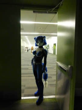 [Ayano Harumaki]&nbsp;&nbsp;Krystal from Star Fox_0376_Ayano_Twitter_ayano_harumaki_691562262121721856_20160125_210426_img1