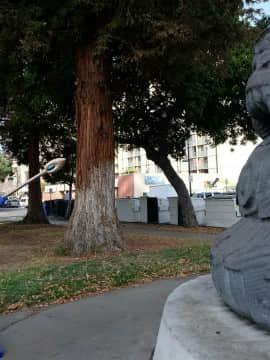 [Ayano Harumaki]&nbsp;&nbsp;Krystal from Star Fox_0377_Ayano_Twitter_ayano_harumaki_692303187890470912_20160127_220837_img1