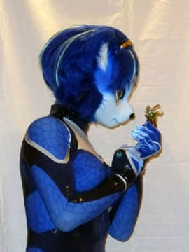 [Ayano Harumaki]&nbsp;&nbsp;Krystal from Star Fox_0358_Ayano_Twitter_ayano_harumaki_676909767093301249_20151216_104039_img1