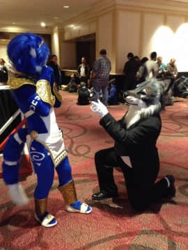 [Ayano Harumaki]&nbsp;&nbsp;Krystal from Star Fox_0264_Ayano_Twitter_ayano_harumaki_569731003238846465_20150223_163030_img1