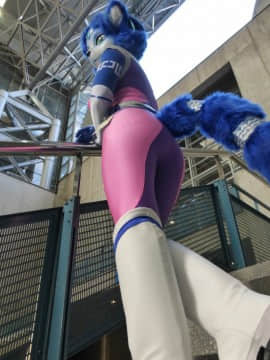 [Ayano Harumaki]&nbsp;&nbsp;Krystal from Star Fox_0100_Ayano_Direct_Photos_from_Wonder_Festival_2016_Cosplay.Ayano.WonderFestival2016.DirectPhotos.29