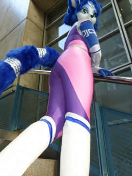 [Ayano Harumaki]&nbsp;&nbsp;Krystal from Star Fox_0110_Ayano_Direct_Photos_from_Wonder_Festival_2016_Cosplay.Ayano.WonderFestival2016.DirectPhotos.39