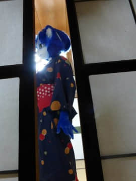 [Ayano Harumaki]&nbsp;&nbsp;Krystal from Star Fox_0046_Ayano_Cools_Down_in_a_Yukata_Cosplay.Ayano.Yukata.04