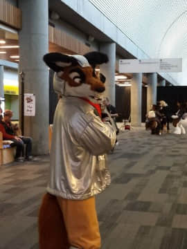 [Ayano Harumaki]&nbsp;&nbsp;Krystal from Star Fox_1512_Full_Resolution_Photo_Galleries_from_Further_Confusion_2016_5_206_32703388395_o