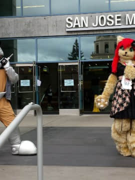 [Ayano Harumaki]&nbsp;&nbsp;Krystal from Star Fox_1059_flickr_31889417243_ebf493b20a_o