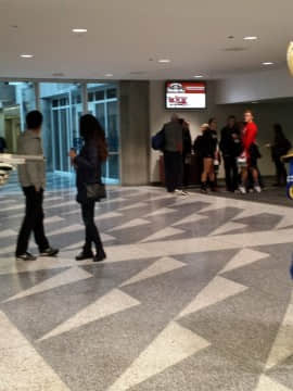 [Ayano Harumaki]&nbsp;&nbsp;Krystal from Star Fox_1404_Full_Resolution_Photo_Galleries_from_Further_Confusion_2016_5_050_32702039145_o