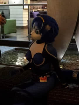 [Ayano Harumaki]&nbsp;&nbsp;Krystal from Star Fox_1296_Full_Resolution_Photo_Galleries_from_Further_Confusion_2016_1_21_32690724445_o