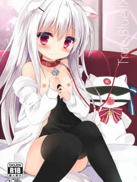 [绅士仓库汉化] (C91) [DOGYEAR (九条だんぼ)] True Blue IX_1