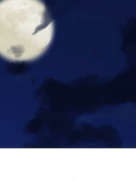 如此可愛的間諜 1-40話[完結]_3493