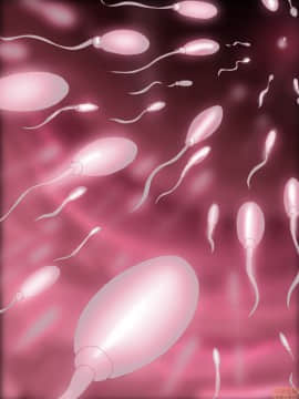 [新桥月白日语社] [みちばたのえろほん (とんちゃん)] 種付け先生の純愛催眠キメセク指導～姉妹仲良く孕ませます～_00443