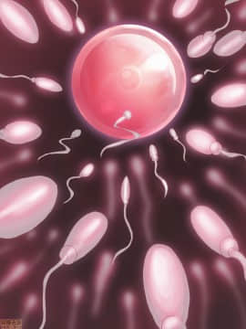 [新桥月白日语社] [みちばたのえろほん (とんちゃん)] 種付け先生の純愛催眠キメセク指導～姉妹仲良く孕ませます～_00444