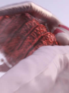 [X.2B] 遠星之曉 (Distant Dawn )_026