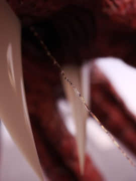 [X.2B] 遠星之曉 (Distant Dawn )_055