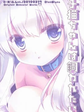 [無邪気漢化組] (コミティア127) [D・N・A.Lab. (ミヤスリサ)] 子猫ちゃんは飼われたい_22