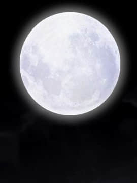 枷鎖 1-64話[完結]_35-36_5811