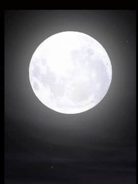 枷鎖 1-64話[完結]_26_4134