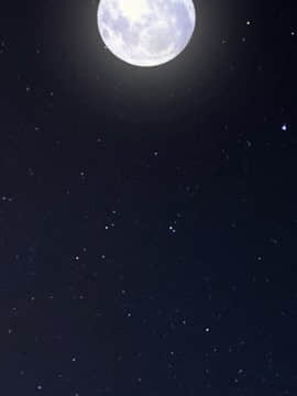 枷鎖 1-64話[完結]_10_1389