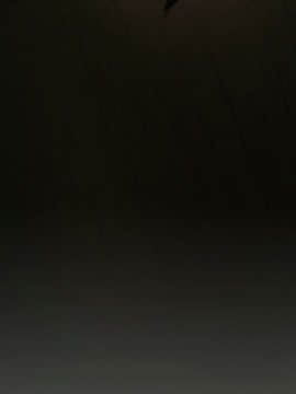 神秘的姐妹 1-32話[完結]_1-31_1097