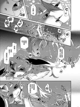 [悬赏大厅x新桥月白日语社] [Dogear (犬耳もえ太)] 宝石獣と遊楽魔 (パズル&ドラゴンズ) [DL版]_24_WEB_24