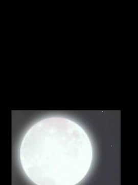 圈套 1-18話_12_2064