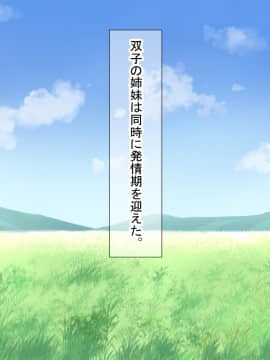 [ダメージ床R (あふろ)] らんまん牧場飼育日誌～双子牛娘はじめてのW乳しぼり～_132_smm_h002