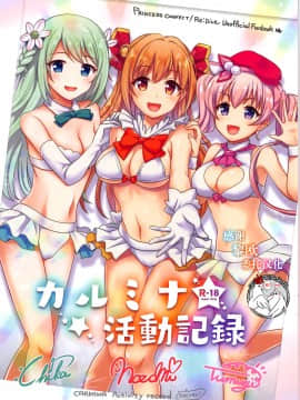 (サンクリ2019 Summer) [fake69rose (夜凪朝妃)] カルミナ活動記録 (プリンセスコネクト!Re:Dive) [不咕鸟汉化组]