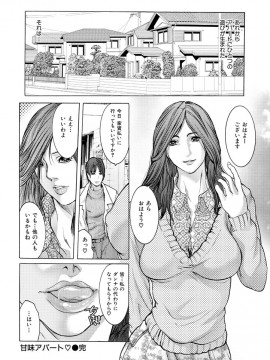 [三顕人] ヒトヅマナブリ [DL版]_125