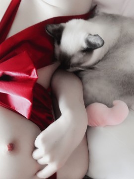 [惡犬小姐姐] 禮物套_27