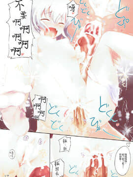 [不可视汉化] (例大祭9) [すてうかの小屋 (相音うしお)] Lady's and Lady's #2 (東方Project)_16