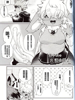 [虾皮汉化组] (けもケット8) [moffle (マボ)] もふもフル!_46