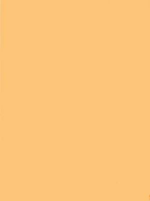 [山文京伝] 笑顔のすべて・・・_205