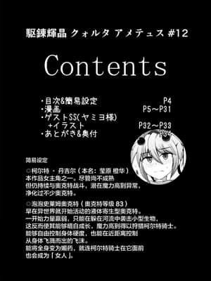 [不咕鸟汉化组] [下り坂ガードレール (しらそ)] 駆錬輝晶 クォルタ アメテュス #12 [DL版]_03
