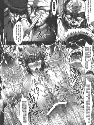 [紫苑汉化组] (C95) [X∞MODEL (X∞MODEL)] GUND CUNNUM vol.3_35