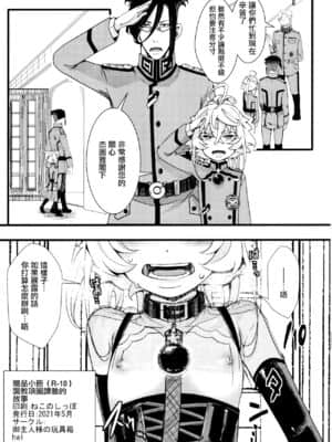 [瑞树汉化组] [御主人様の玩具箱 (hal)] ティゲンホーフ帰還後に + オマケ本 (幼女戦記)_19