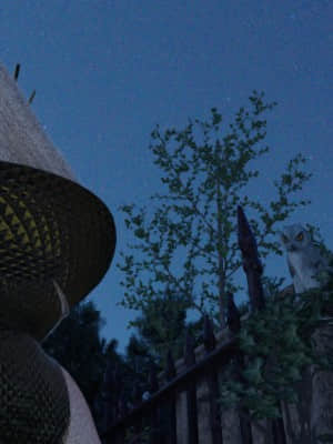 [EverForever] Trick or Treat 4 Part1_E080