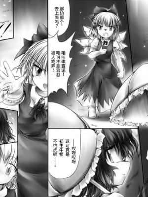 [玲车漂移汉化] (C69) [NT CONFESS (絵縫桂)] 幽玄の時雨、永遠の梁。 (東方Project)_12