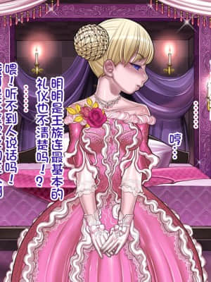 [pinkjoe] 報酬の姫君 princess super slut [我不看本子个人汉化]_00000080