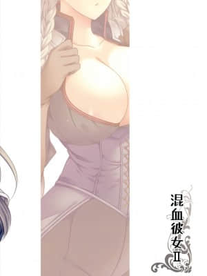 [RSV个人汉化] (C80) [LOVE# (Louis&Visee)] 混血彼女II (タクティクスオウガ)_1024