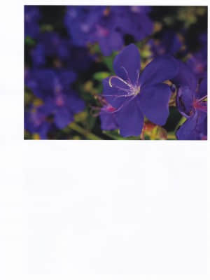 2019.06.19 白間美瑠 ファースト写真集 LOVE RUSH_IMG_20190802_0040