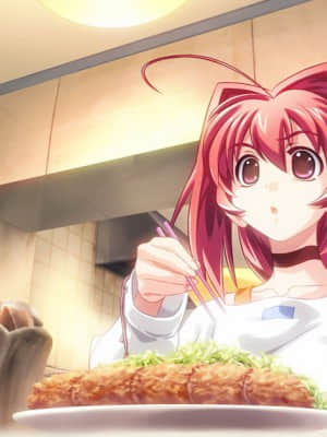 マブラヴ サプリメント(MUV-LUV SUP)_0DA2597A