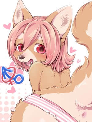 [悬赏大厅×不可视汉化组] [はるぐも。 (きりきりや)] おにいちゃんとつくるきせいじじつ [DL版]_17
