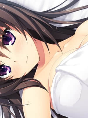 [hibiki works] PRETTY×CATION2 -ずっと初恋の日々エディション-_ev221a