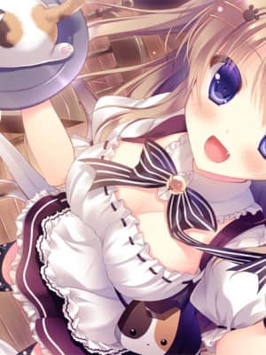 [SkyFish poco] にゃんカフェマキアート ～猫がいるカフェのえっち事情～_1214