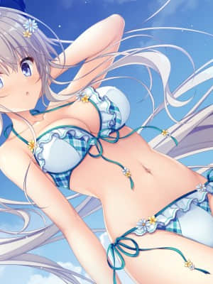 竜姫ぐーたらいふ2_a_iri_03_c