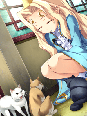 真·恋姫†無双_0723